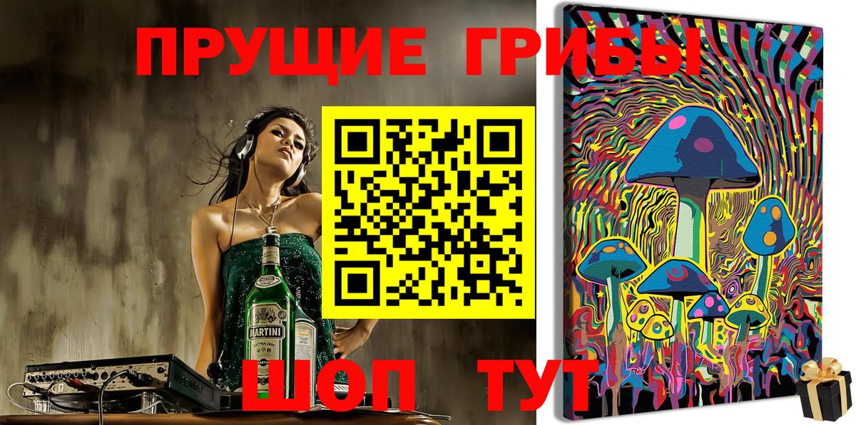 Псилоцибиновые грибы Magic Shrooms  Галлюциногенные грибы GOLDEN TEACHER  Отрадное  Вход с VPN 